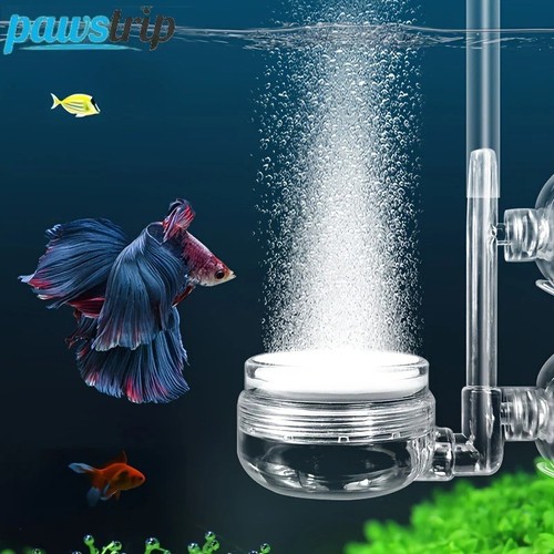 Aquarium nano air - aquarium, stone