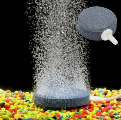 Aquarium air stone - aquarium,