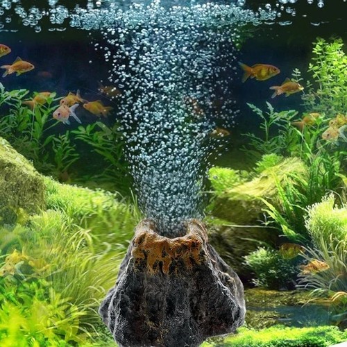 Aquarium oxygen pump air - oxygen,