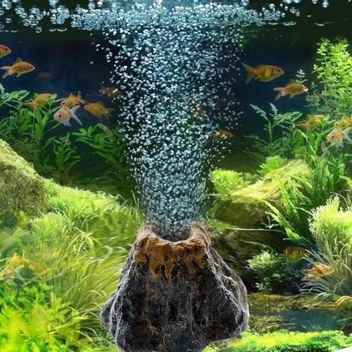 Aquarium oxygen pump air - oxygen,