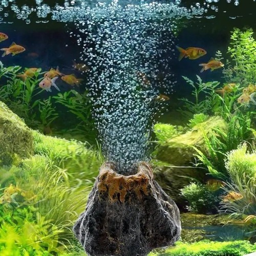 Aquarium oxygen pump - aquarium,